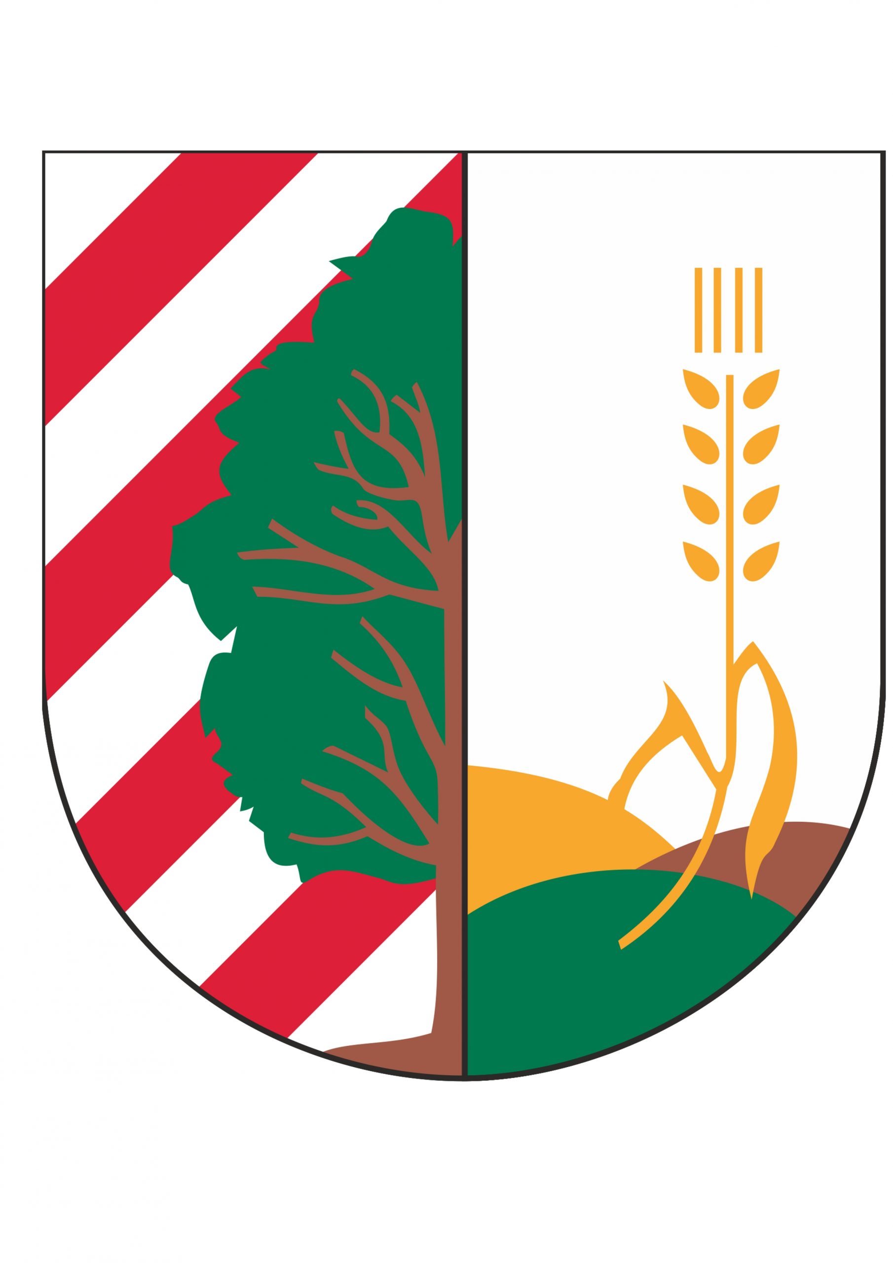 Gmina Baruchowo